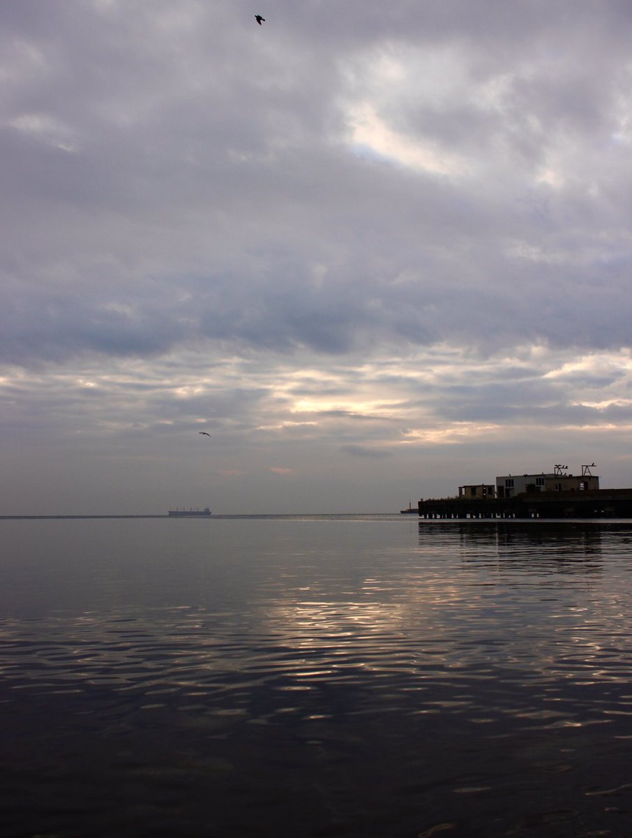 ErolPhotog15142's tweet photo. A gloomy day…
#gloomyday #grayclouds #photo https://t.co/4PhnFCpWkK
