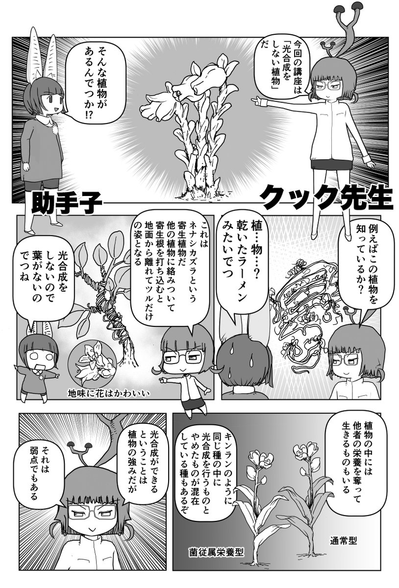 色々と誤解されてそうな動物(植物)を漫画で解説していくぞい。 第21回「光合成をしない植物」1/2 #クック先生の動物講座 #漫画が読めるハッシュタグ  #マンガが読めるハッシュタグ #植物 