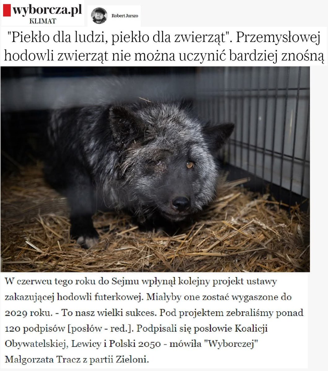 Małgorzata Tracz tweet media