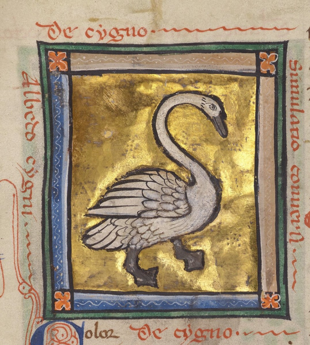 John McCafferty tweet media