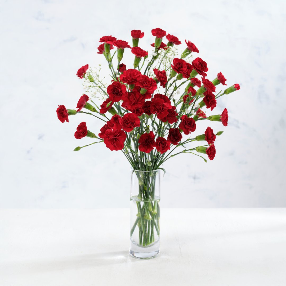 Still need a gift?🎁

We've got a beautiful selection of festive floral bunches and baskets that'll make an ideal gift for a loved one or a centrepiece for the table💐

With prices starting at £5.50, you're sure to find the perfect bloom!

Subject to availability.