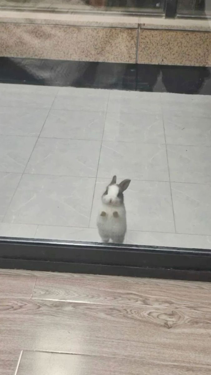 twaniimals's tweet photo. https://t.co/EoXoK67pJF