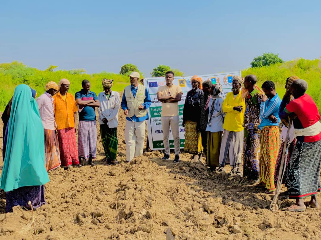 CsetGroup's tweet photo. 100 lead farmers were trained on climate-smart practices in-class &amp; field training by CSET in partnership with Zamzam/IRC under the @BRCiS - OASIS project in Hirshabelle State, Somalia.
@RESCUEorg @EU_in_Somalia https://t.co/txBe5MktU0