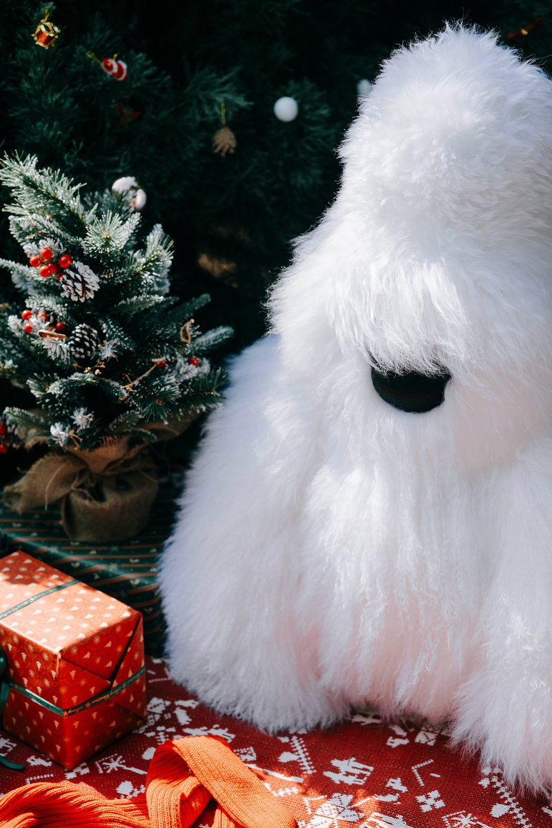 boltbolt_io's tweet photo. 🎄✨ Transform your Christmas with SPEAKER DAVID I—the sculptural speaker with an unmistakable ape-inspired look. Bold design, luxurious finish, powerful bASS, and festive vibes in one perfect gift.

🎁 For the art, music, and style lover in your life. https://t.co/FJs2p7FrHF