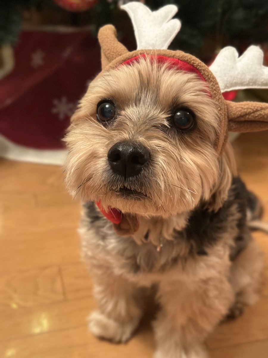 らっちゃんズ (@RawMeat_Lover) / Posts / X