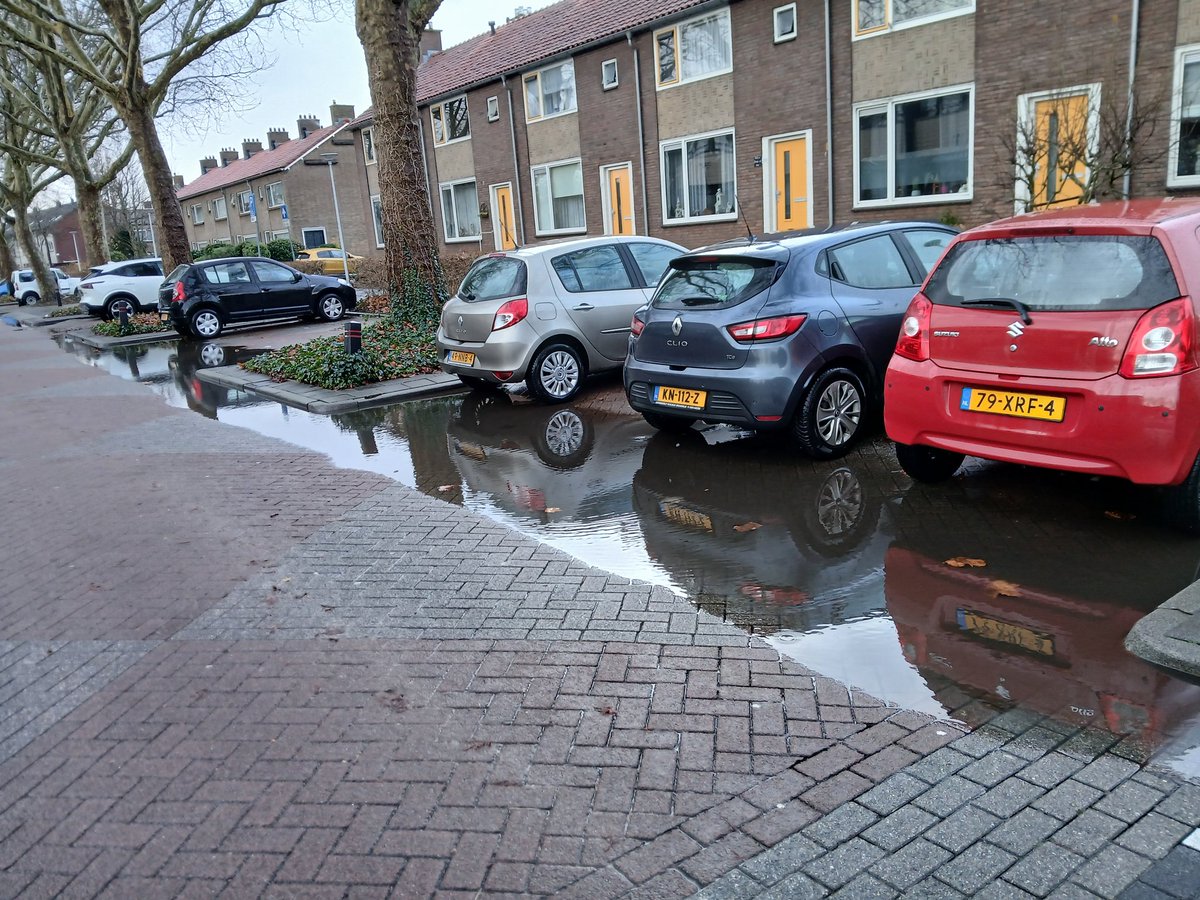 @janwijninga60💚💛 tweet media