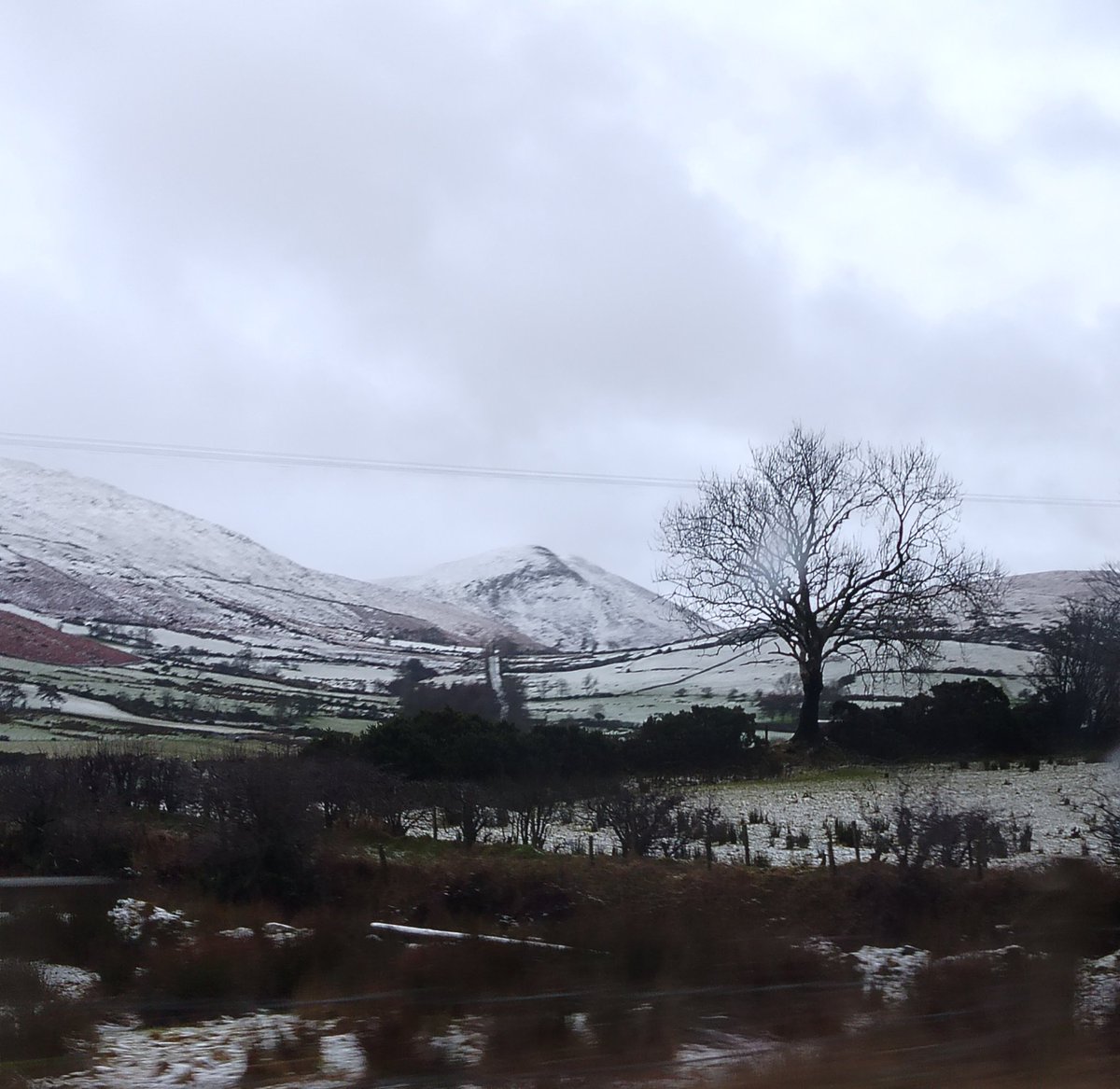 🅐🅡🅜🅐🅖🅗 🅡🅔🅓 tweet media