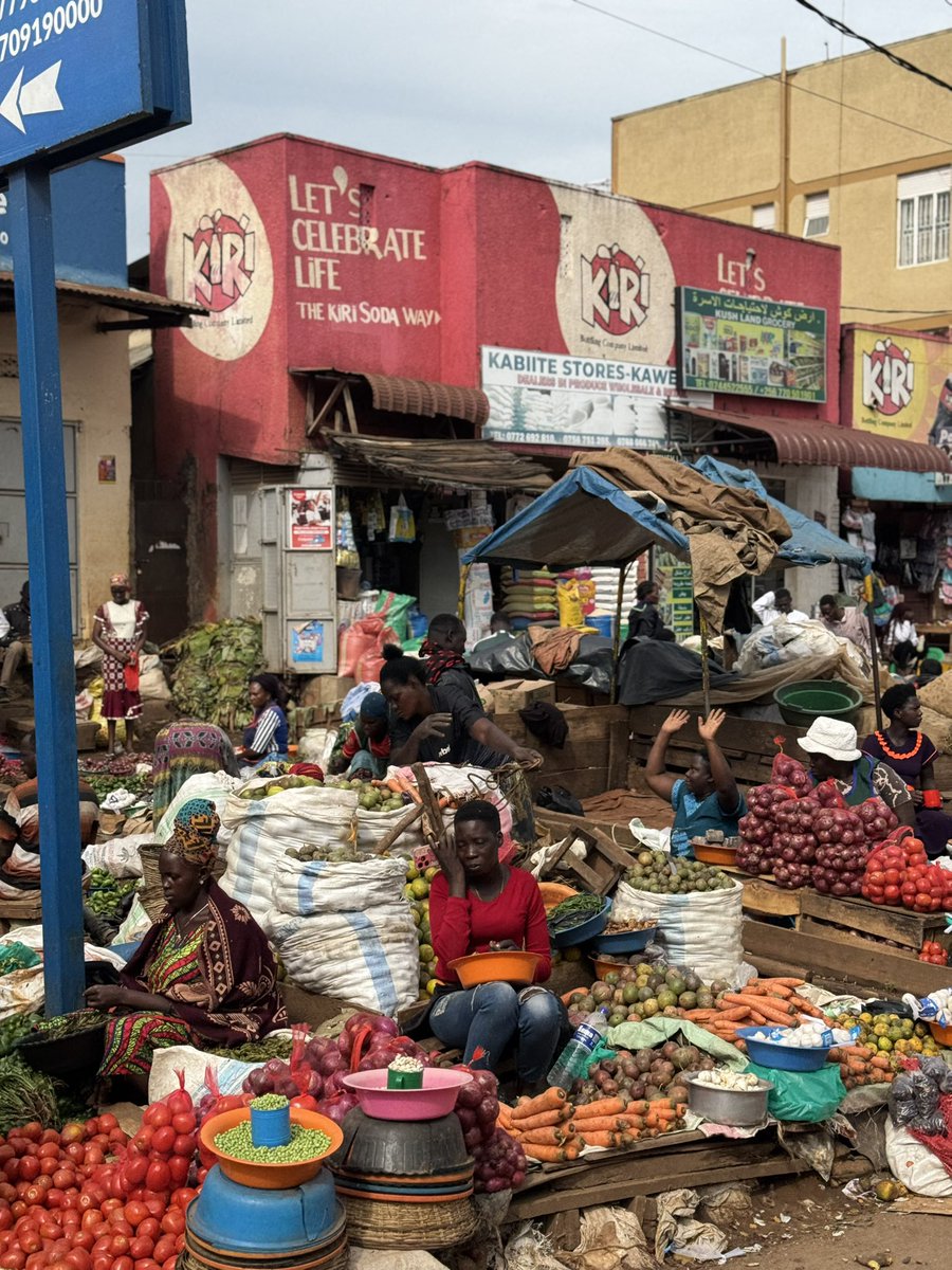 GoExplore Safaris - DMC tweet media