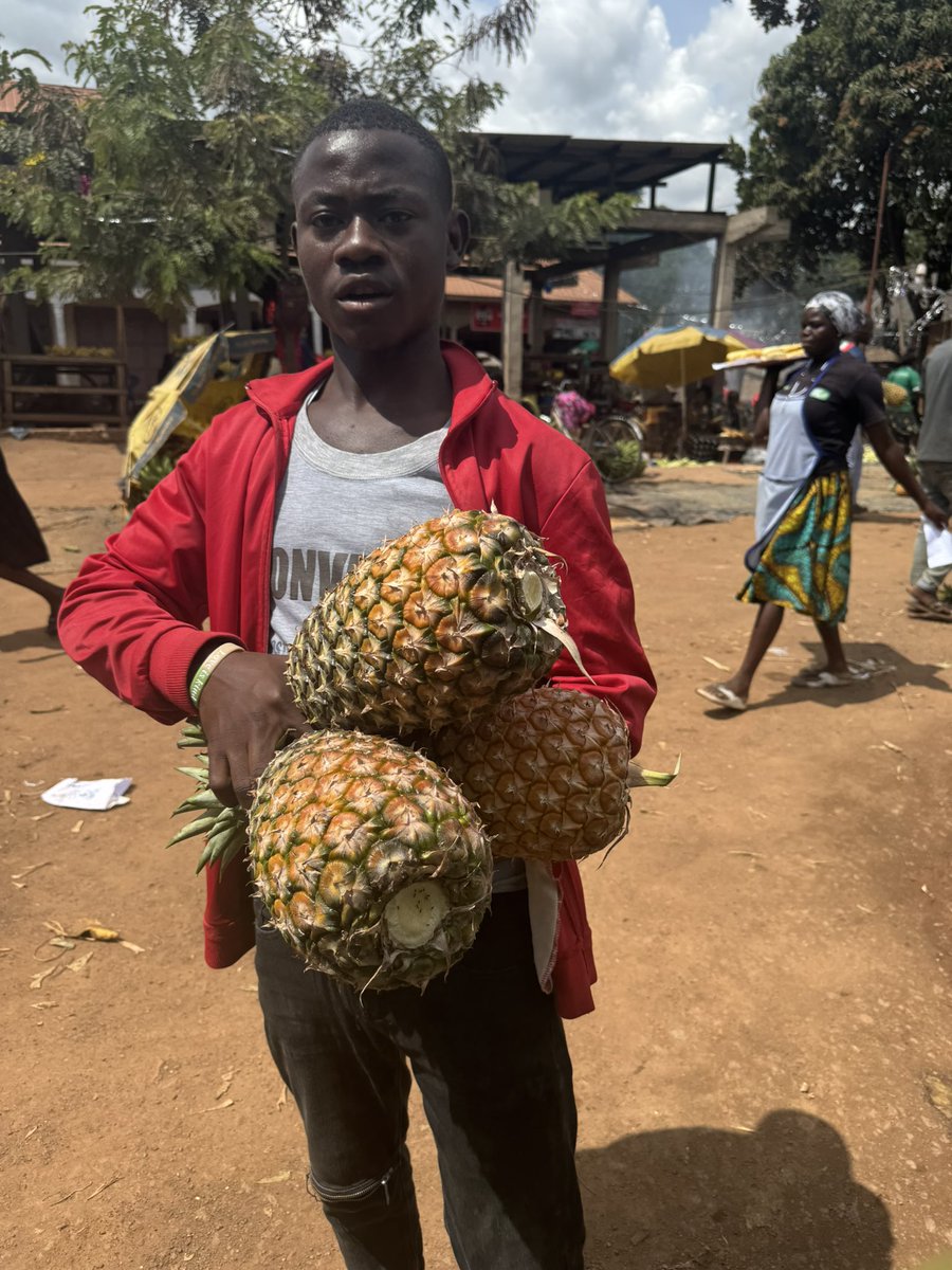 GoExplore Safaris - DMC tweet media