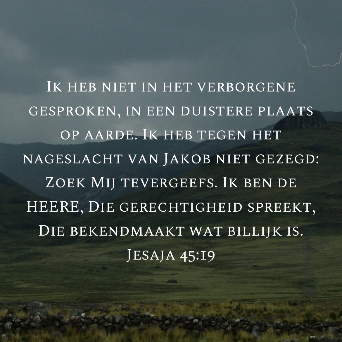 Tom Dijkstra tweet media