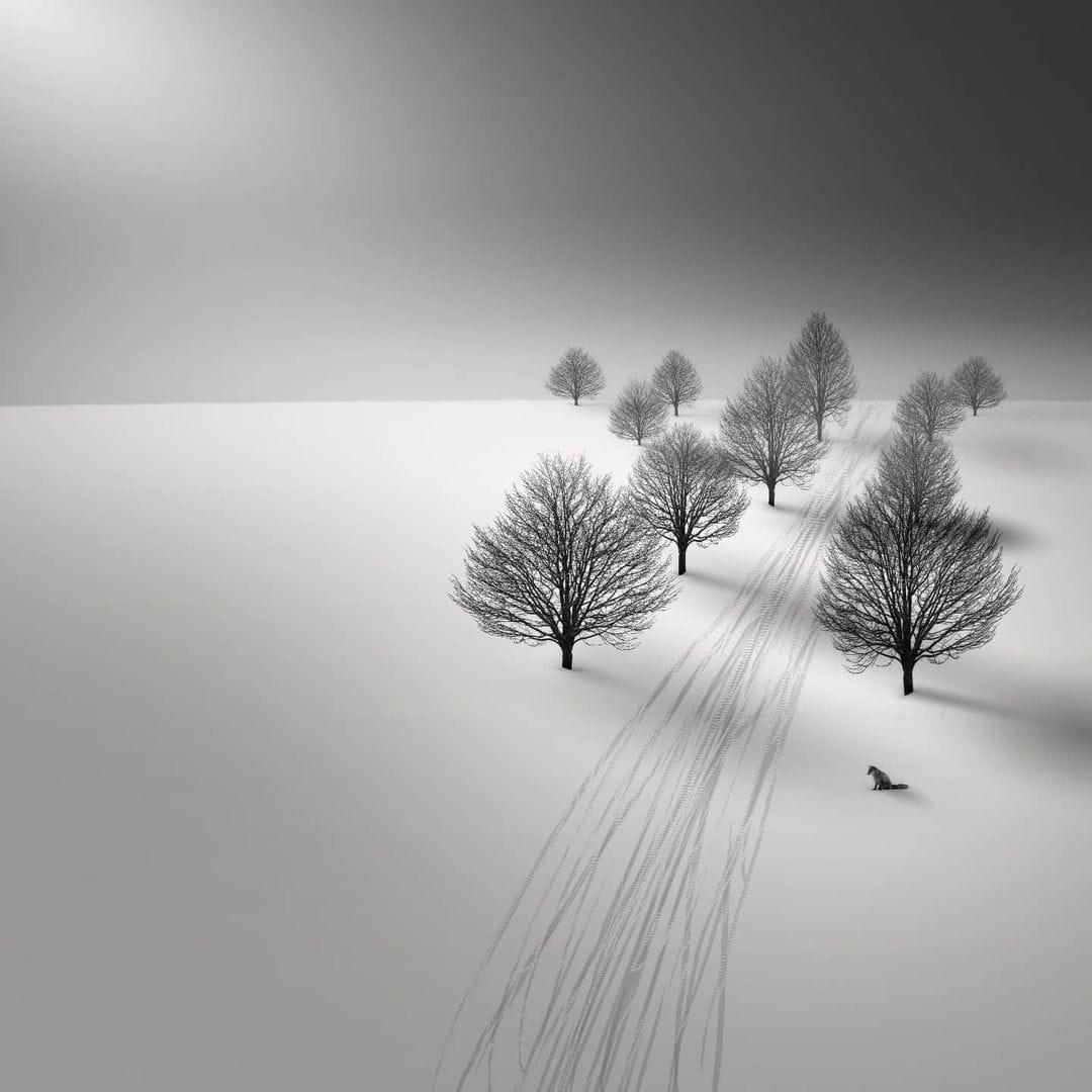 Zemheri bugün başlıyor.

Zemheri, 22 Aralık’ta başlayan ve kırk gün süren kışın en soğuk günleridir. Zâm “kış” Farsça, harîr “uğuldayan” Arapçadan gelir.

“Art arda kaç zemheri, kurt uyur, kuş uyur, zindan uyurdu.” der şair ve ekler,  “Bir ben uyumadım kaç leylim bahar.”