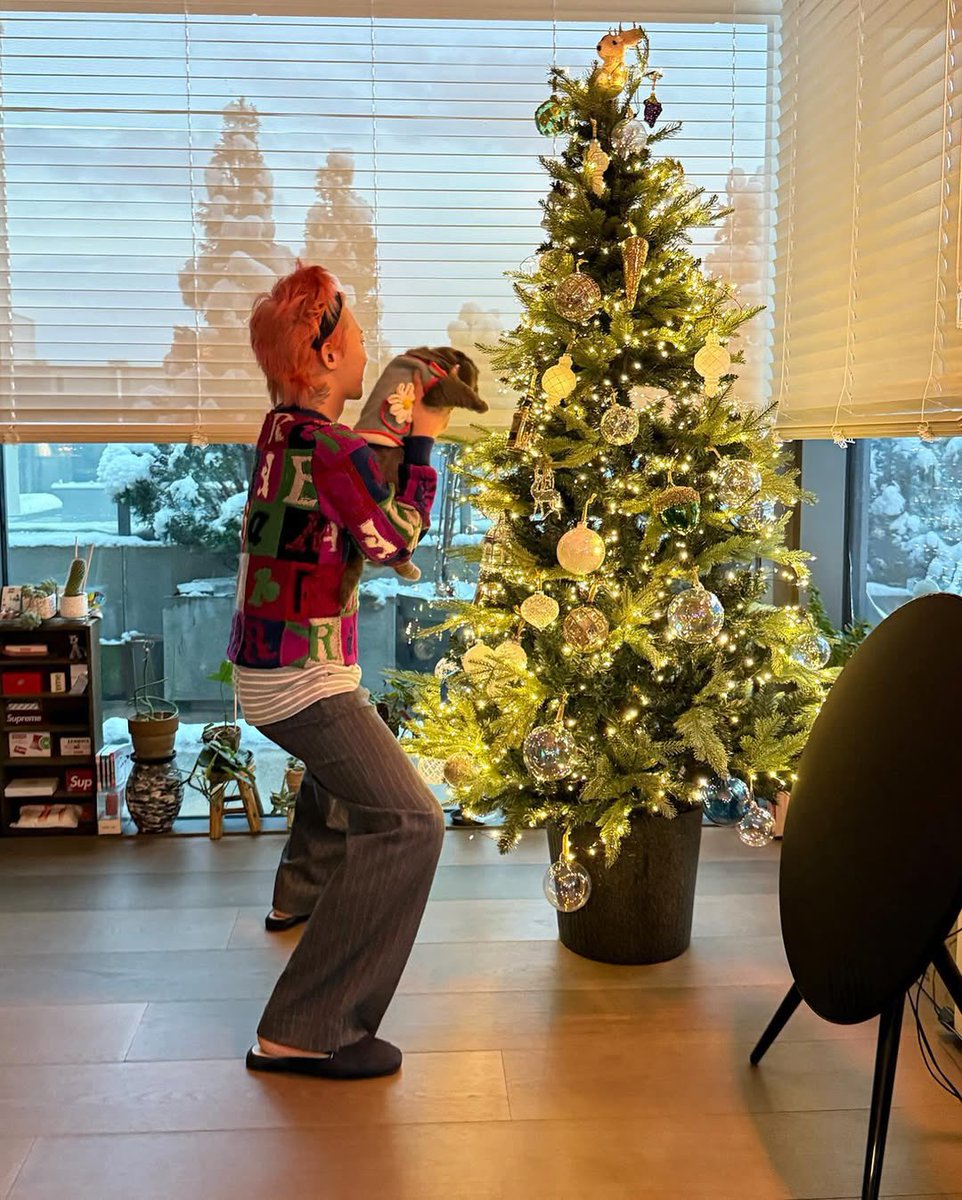 maru818gd's tweet photo. ほんと内緒なんですけど、
自宅で愛猫にクリスマスツリーを見せつけている、この人…

キングオブK-POPのG-DRAGONなんです。

そうです、あの2024MAMAでブチかました人です。 https://t.co/NjN1LabC3L