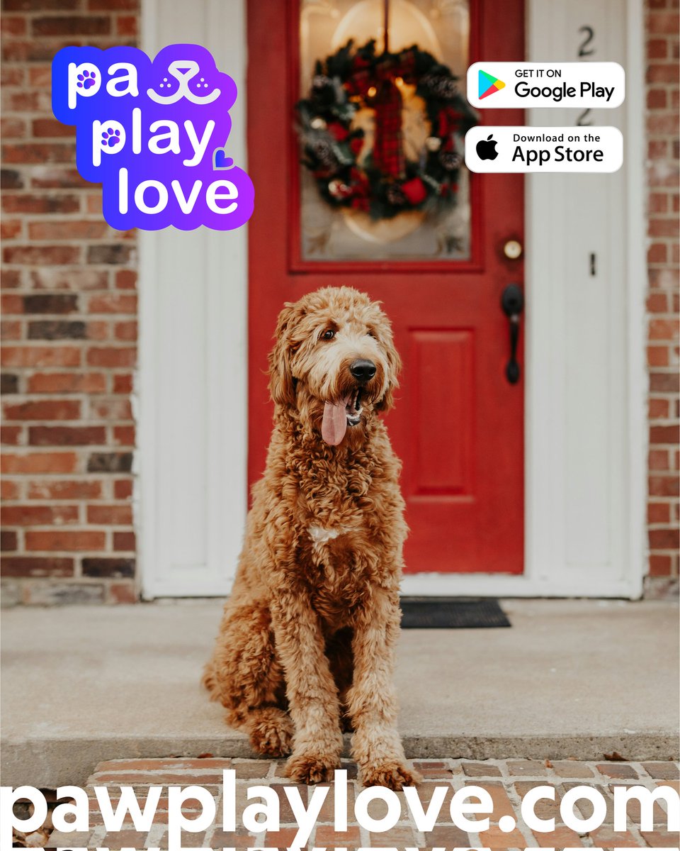 🐾 The holidays can feel lonely, but you’re never alone with Paw Play Love. 🐶🐱

Whether it’s finding playdates for your furry friend or creating new connections, we’re here to bring joy and companionship to your holiday season. 💕

✨ Join today and let’s make this season warm