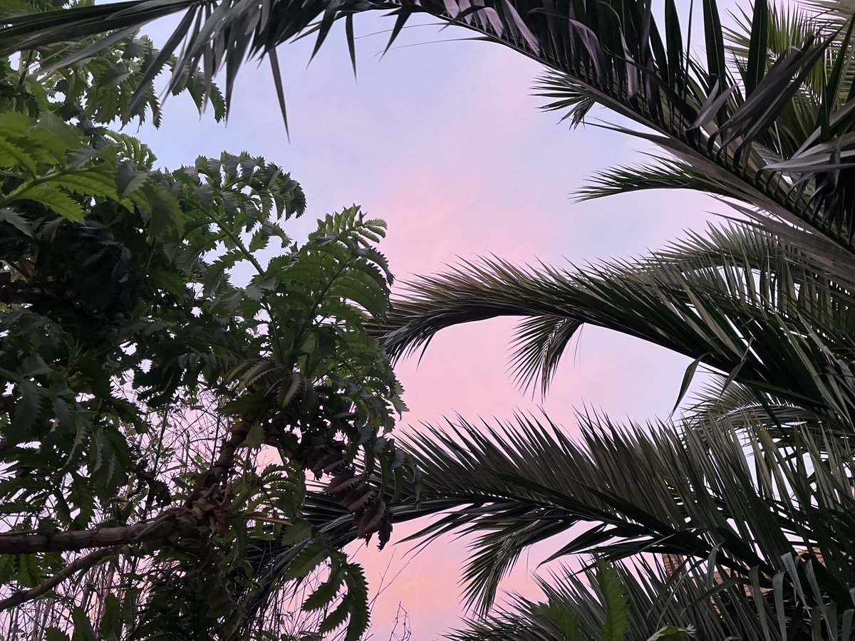 … has not been cut back for winter…