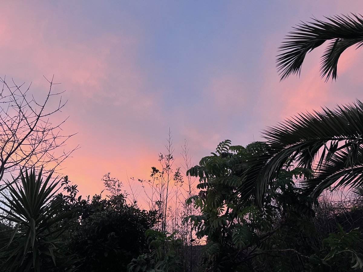 … but I love my garden