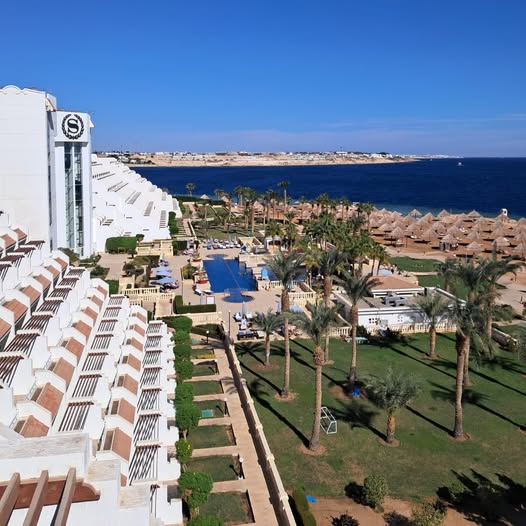 Sheraton_Sharm's tweet photo. There’s no better place to embrace the magic of the Festive Season than spending a holiday in a stunning place, tranquil atmosphere, and warm hospitality. It's the perfect destination for creating unforgettable memories.
#holidayseason  #Christmas #HappyNewYear #sheratonsharm https://t.co/FzThsw1OCc