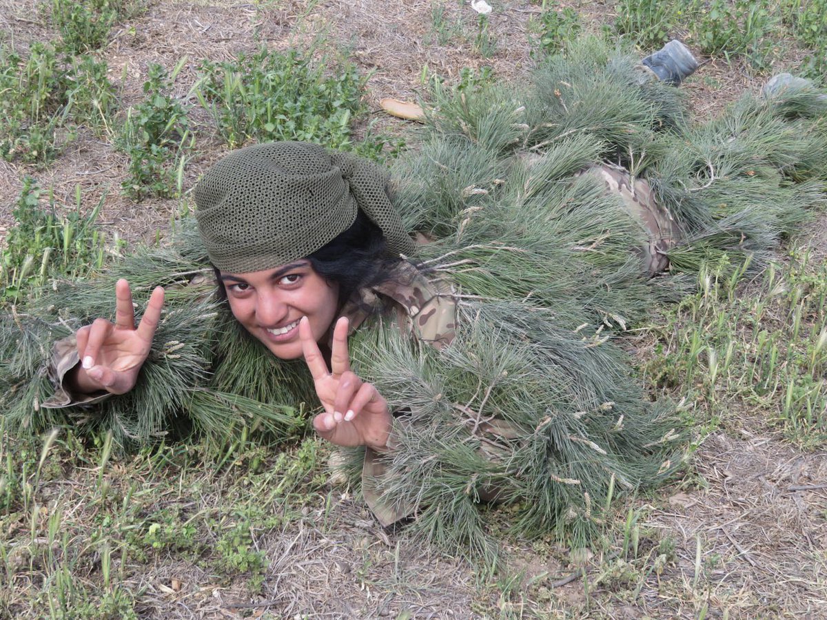 سحلية كردية انفصالية من فصيلة نادرة أصولها من جبال قنديل 

تم دعسها وودعت المونديال 
🤐