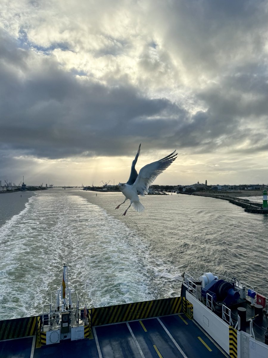 Malte Greisner tweet media