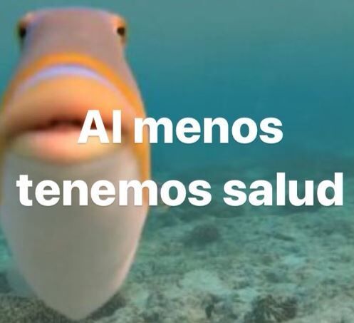 Andalucía Directo ❎ tweet media