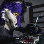 Photo by GoodWolf (@GoodWolfSK)