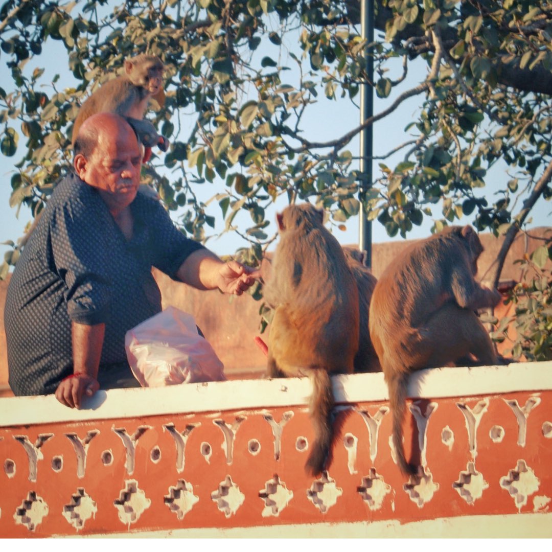 Soaking in the winter sun is pure bliss, and January of Jaipur is the perfect time to bask in its golden glow. ☀️❄️ Coming soon!
.
.
.
#January #JanuaryofJaipur #sun #bliss #winters #jaipur