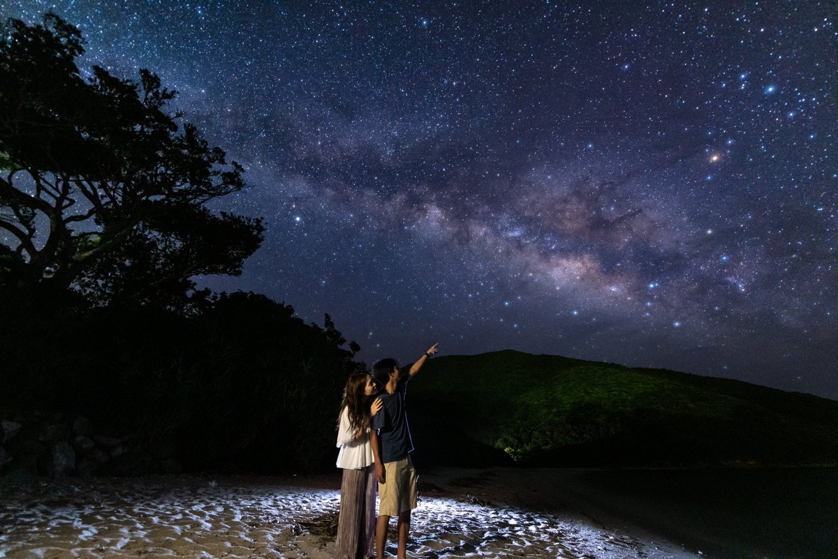 南国のハブ捕り師 tweet media