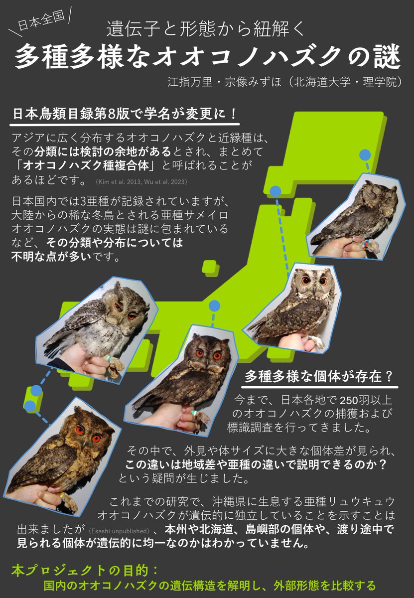 えさし tweet media