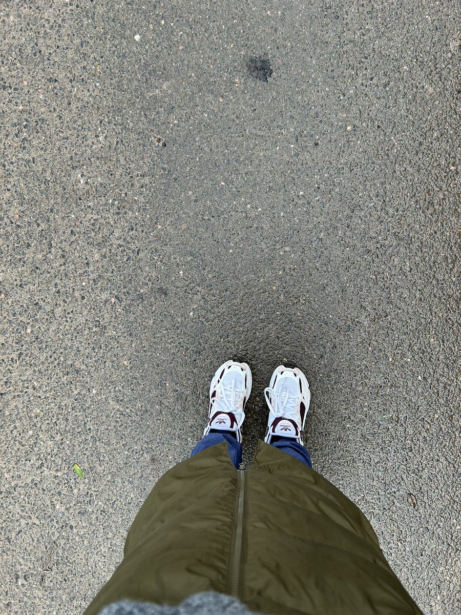 Silvia Steininger tweet media