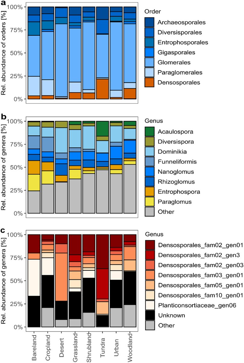 ManuDelgadoBaquerizo (@manudelbaq) on Twitter photo New paper in the <a href="/BioFunLab/">BioFunLab</a>
Global richness of arbuscular mycorrhizal fungi
sciencedirect.com/science/articl…
Led by Stefanie Lutz & <a href="/vandeHeijdenLab/">van der Heijden Lab</a>
The study highlight that a large % of fungi remains unknown! limiting our capacity to conserve these key organisms!
<a href="/IRNAS_CSIC/">IRNAS Sevilla</a> New paper in the <a href="/BioFunLab/">BioFunLab</a>
Global richness of arbuscular mycorrhizal fungi
sciencedirect.com/science/articl…
Led by Stefanie Lutz & <a href="/vandeHeijdenLab/">van der Heijden Lab</a>
The study highlight that a large % of fungi remains unknown! limiting our capacity to conserve these key organisms!
<a href="/IRNAS_CSIC/">IRNAS Sevilla</a>