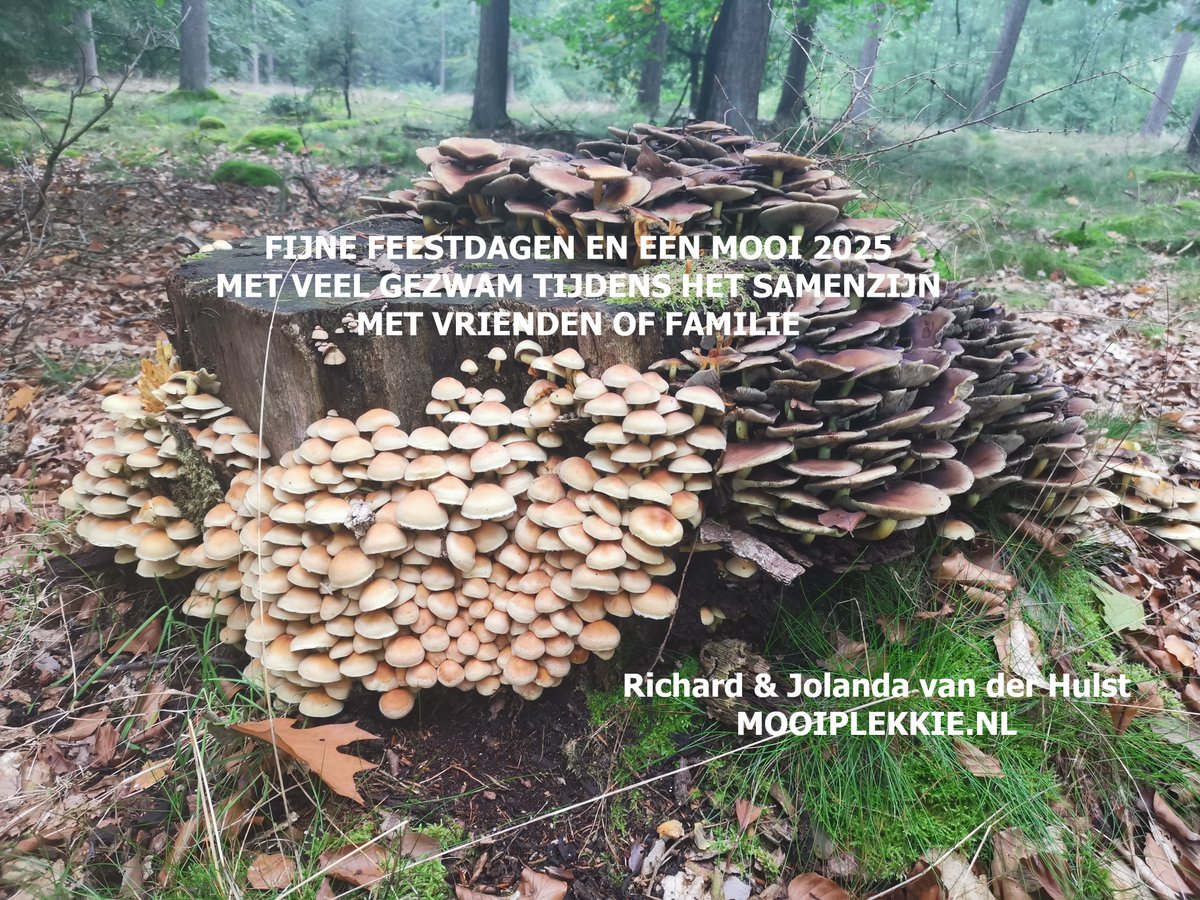 Kerstgroeten uit Eext