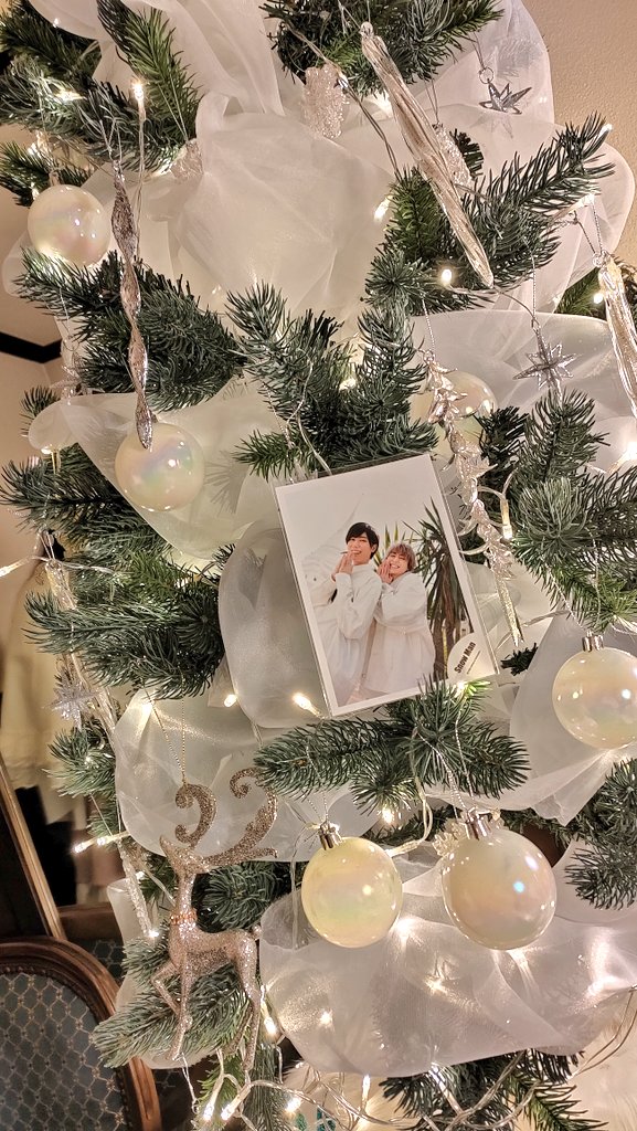 4BSK_'s tweet photo. 💚🩷🎄 https://t.co/NosSCeIMVN