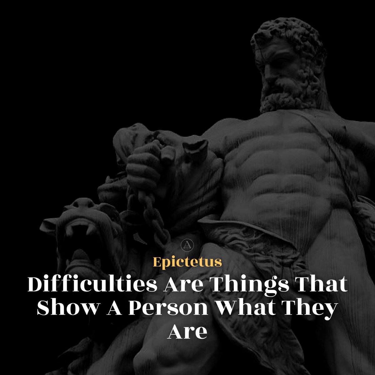 Stoic 🏔️ (@astoic10) on Twitter photo 