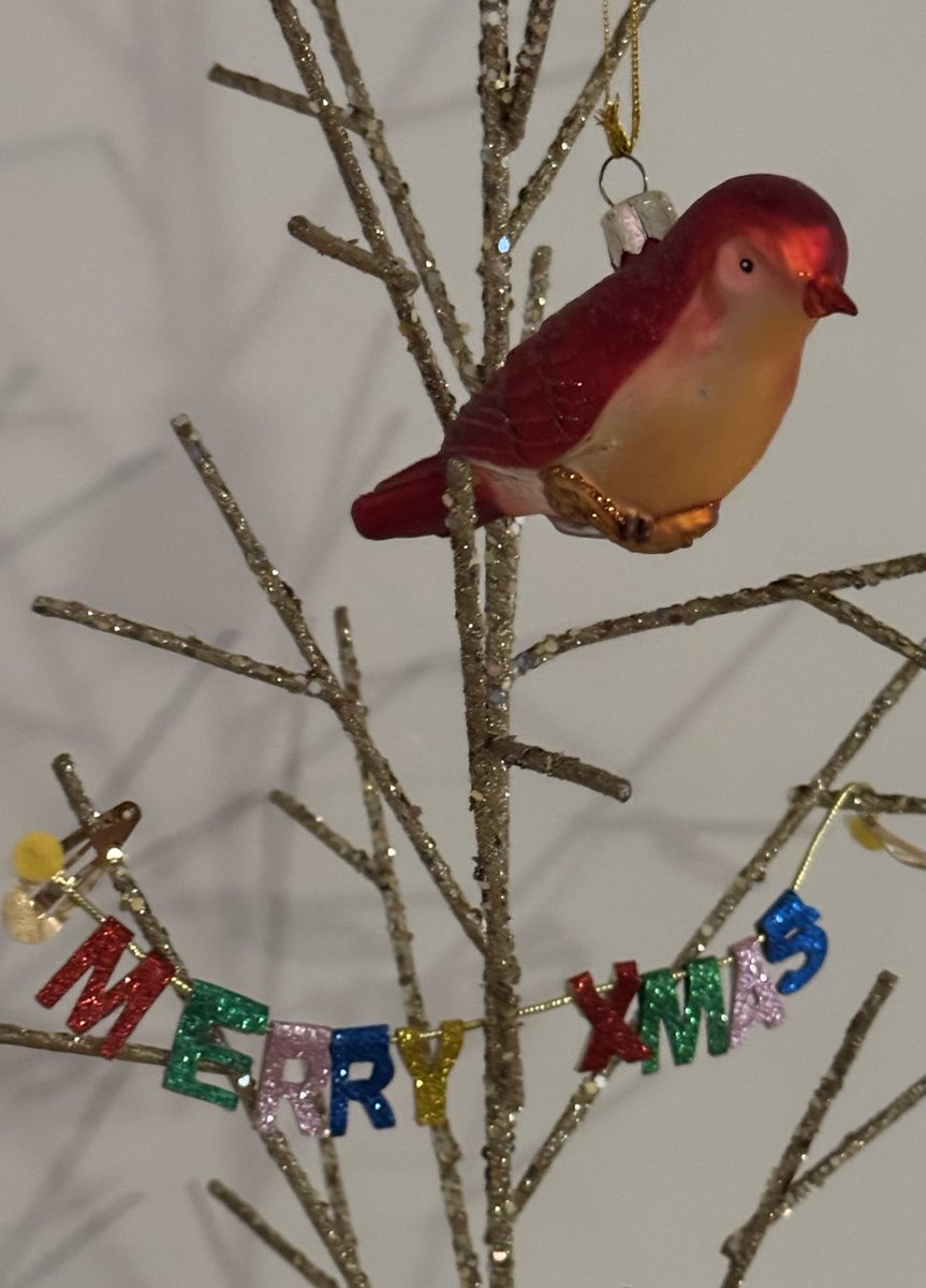 ✨ Merry X-mas everyone ✨