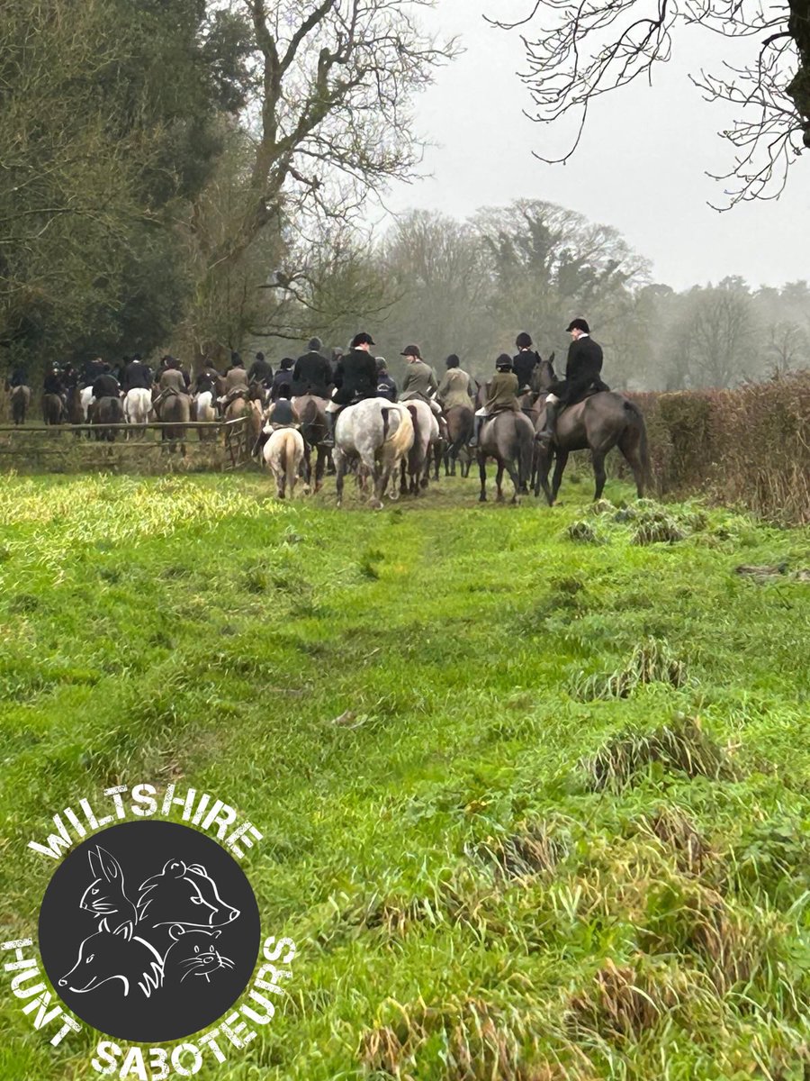 Wiltshire Hunt Saboteurs tweet media