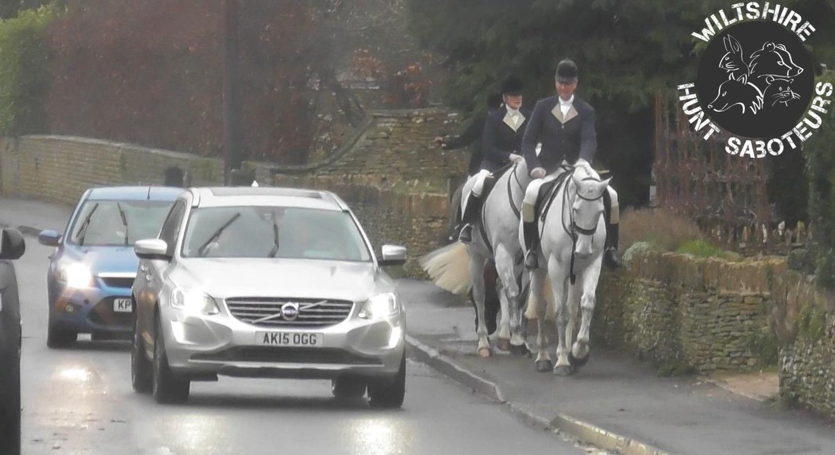 Wiltshire Hunt Saboteurs tweet media