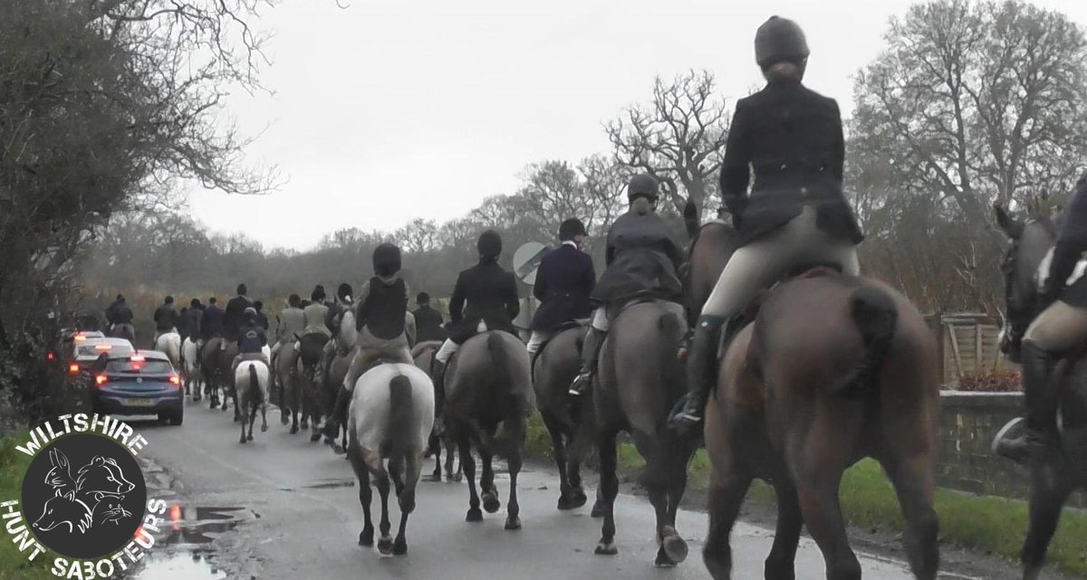 Wiltshire Hunt Saboteurs tweet media