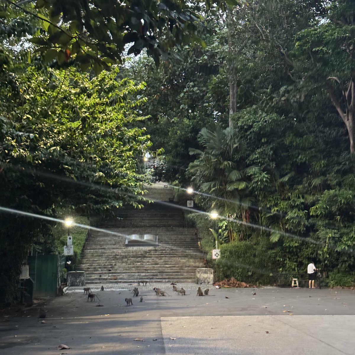 sorry no stairs day because of a roadblock