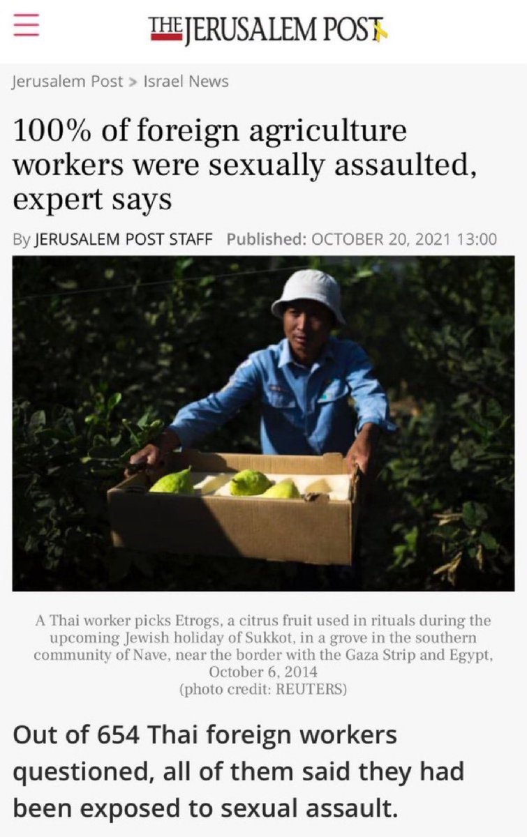 AdameMedia's tweet image. This is literal irrefutable evidence of systemic and culturally accepted r*pe. 

R*pists became minor celebrities…

The government debated whether they should be doing more r*pe. 

61% believe in r*ping acquaintances. 

Israel is a r*pe regime.