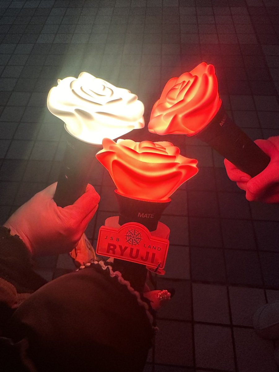 cheryu0000's tweet photo. また来年のKINGDOMで🤝
 
 #ECHOESofDUALITY https://t.co/BPLJ1vDQSm