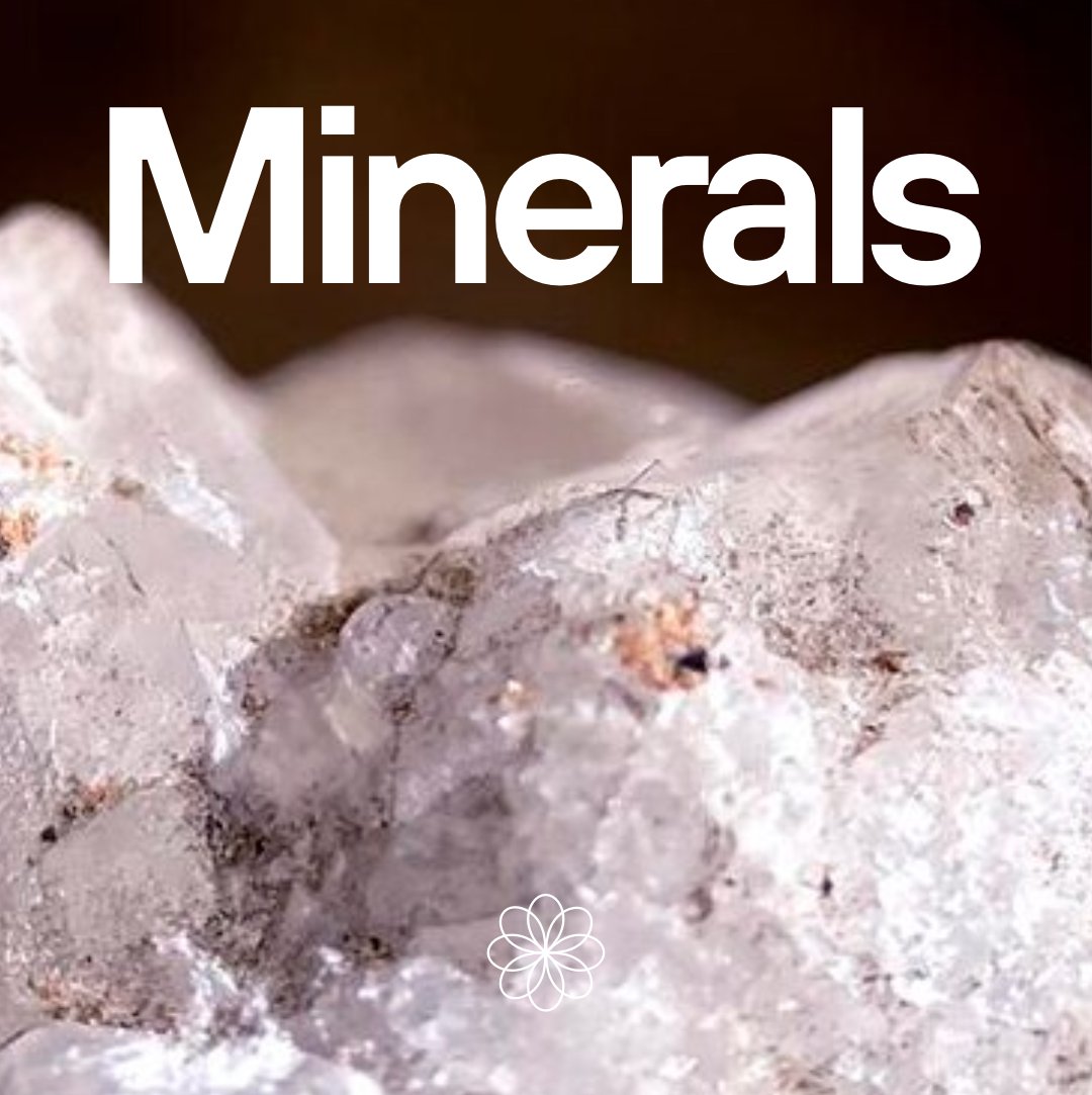 ginfinitynexus's tweet image. Unlock a world of possibilities with our exciting product categories! Whether you&apos;re looking for Agro Products, Wood, Minerals or Medical Equipments, we’ve got you covered. ️✨ #ExploreMore #GlobalInfinityNexus #globaltrade #importexportexcellence