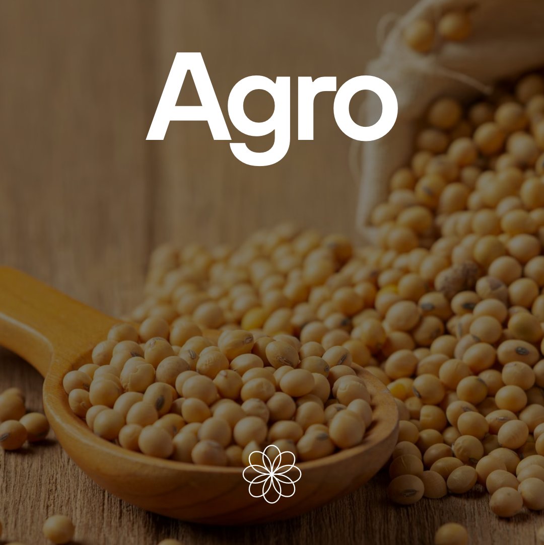 ginfinitynexus's tweet image. Unlock a world of possibilities with our exciting product categories! Whether you&apos;re looking for Agro Products, Wood, Minerals or Medical Equipments, we’ve got you covered. ️✨ #ExploreMore #GlobalInfinityNexus #globaltrade #importexportexcellence