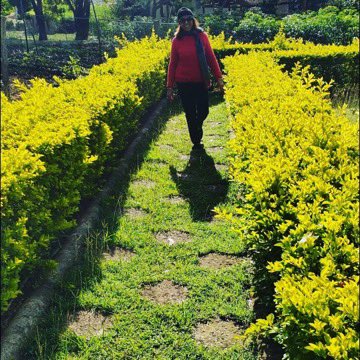 Mayra De Peña tweet media