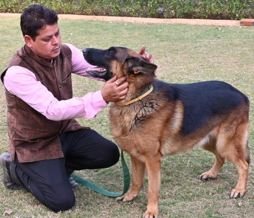 adgpi's tweet photo. Canine Warriors Re-Attired

On the ocassion of Corps Day of the Remount and Veterinary Corps (RVC), #IndianArmy gifted 12 retired Army Dogs to Asha Schools and few good Samaritans. This initiative seeks to provide homes to the dogs, where genuine love and compassion can flourish between them and their new family.

The presence of these dogs will bring immense therapeutic benefits to the children with special needs of the Asha Schools, helping them improve their social, emotional, and cognitive skills. For the families, adopting these #Canine heroes offers a unique opportunity to provide a loving home to a true patriot who has contributed selflessly to the nation, while gaining a loyal and loving companion.

The #IndianArmy maintains Geriatric Centres for its retired equine and canine soldiers, treating them with honour and care in their sunset years. These centres ensure that the animals receive comfort, care and dedicated veterinary support, when they need it the most.

@DefenceMinIndia
@SpokespersonMoD
@HQ_IDS_India
@OfficialAwwa