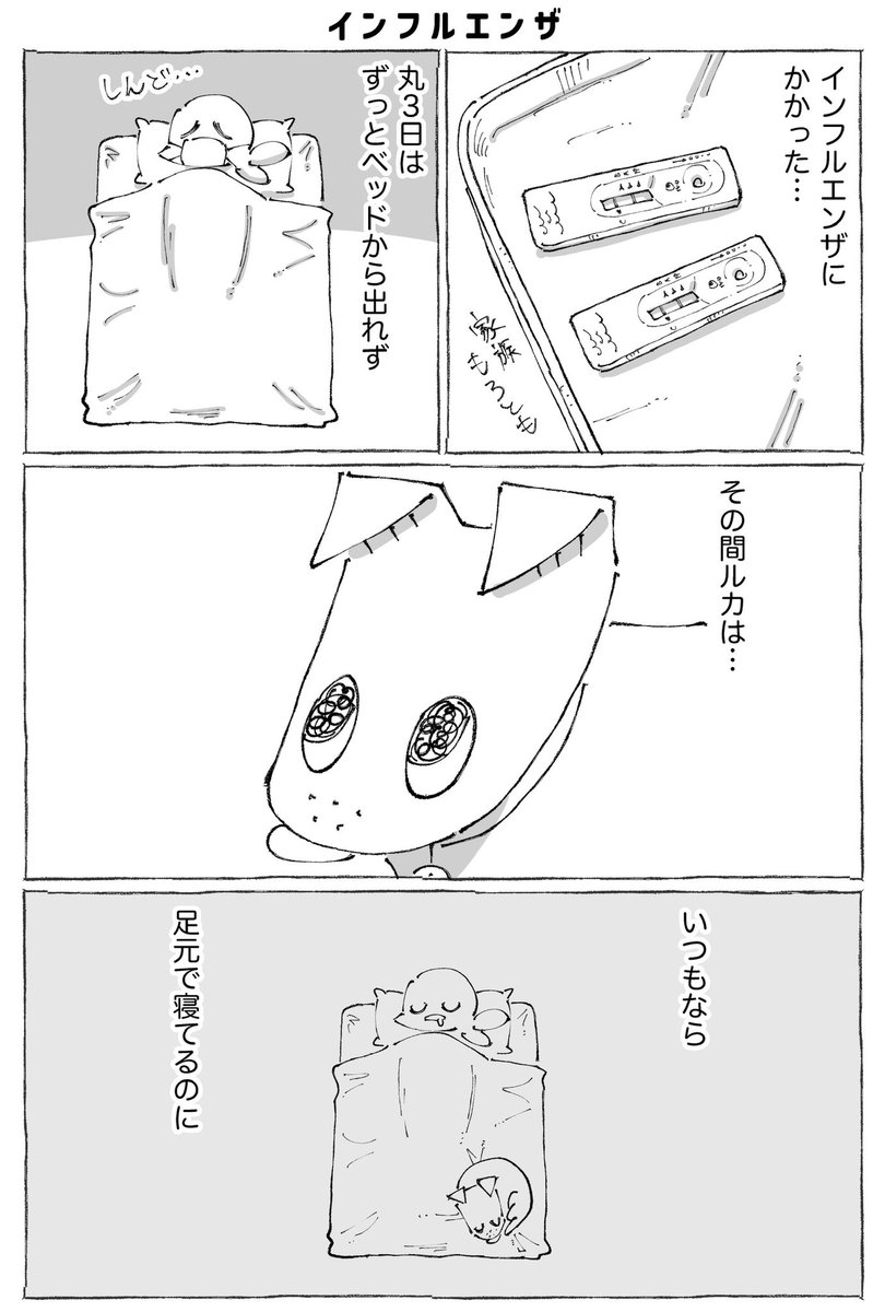うちの犬のルカ。25【0/3】 