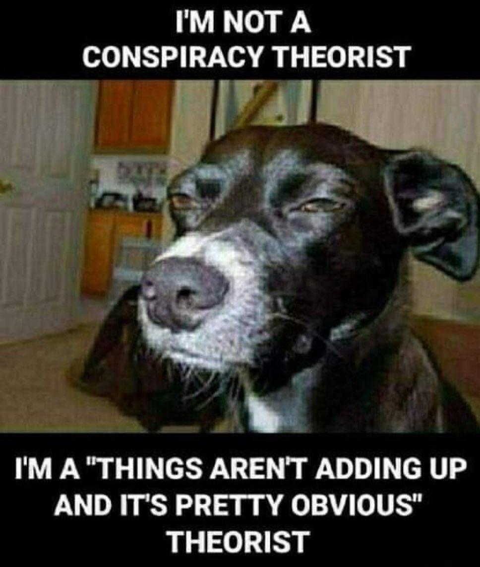 LozzaFox's tweet photo. 2016 was when things became too ridiculous to ignore.

When did you wake up? https://t.co/SVEdxBMxXw
