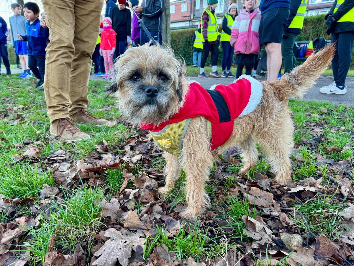 Well done to the 54 participants today and their Christmassy outfits!
And thanks to the 24 volunteers. 
Everyone’s a winner at Pjp - and the Run Director team would like to wish you all a winner of a Christmas. 
🤶🧑‍🎄🎅