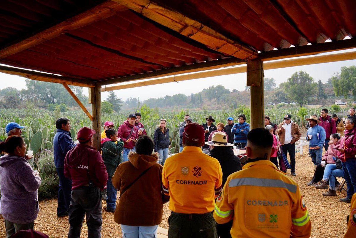 Jualicra's tweet photo. Gobiernos de territorio y no de escritorio.

Hicimos un recorrido por 5 ejidos de Milpa Alta.

Vamos a seguir coordinándonos con los propietarios originarios de la tierra por el bien común, por el suelo de conservación y por la producción agrícola sustentable.

Milpa Alta, tierra de gente buena, luchona y organizada, tierra del nopal, del maíz y de los bosques.
