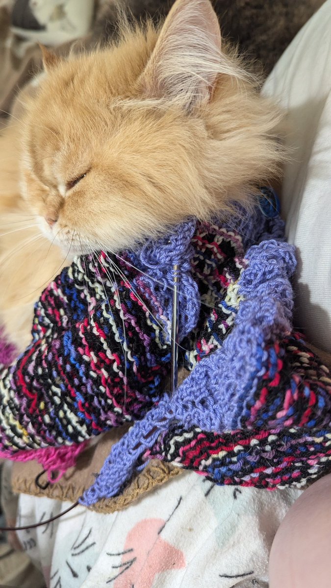 Yours rest while dis Shanks inspex dis "Not-an-Blamkie."

(You rest while this Shanks inspects this shawl [Not-a-Blanket].)