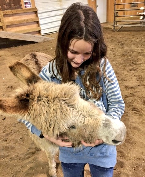 Diegoranchinc's tweet photo. Mini Maggie ACCOMPLISHMENTS 💕

1) Healed a little girl so she could walk again unassisted from her wheelchair. 

2) She has been in 9 magazines. 

3) Attended 18 retirement homes, 6 adult disability centers, and 4 schools. 

4) She was a part of 16 nonverbal children talking for the first time.  

5) She was on the local news 7 times and in the newspaper 14 times. She was also on a radio podcast but didn't say much, lol. 

6) She has served over 70,000 people in some capacity through equine therapy, church functions, hospice, hospitals, birthday parties, Easter events, Christmas nativity scene, and so much more.  

If you would like to show some love for a little donkey that only knew how to give her love for everyone. Please click on the link below and donate to a wonderful program in her honor.  Thank you, everyone, for all your love and prayers. I'M HEART BROKEN 💔
https://t.co/BamlZebMLu