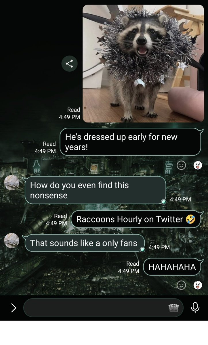 Kesianna's tweet image. I'm slowly chipping away at my best friends distaste for raccoons with the help of @raccoonhourly 😁